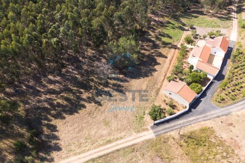 Helårsgrund i Bombarral, Leiria, Bombarral - € 95.000 | Ref: 2025/0049 - foto 13