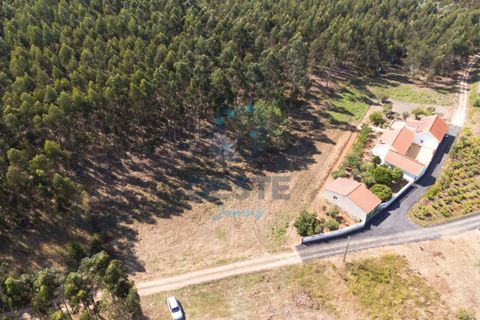 Helårsgrund i Bombarral, Leiria, Bombarral - € 95.000 | Ref: 2025/0049 - foto 14