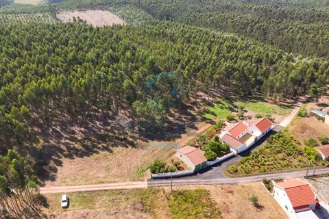 Helårsgrund i Bombarral, Leiria, Bombarral - € 95.000 | Ref: 2025/0049 - foto 15