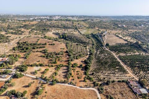 Helårsgrund i Lagoa, Faro, Lagoa - € 900.000 | Ref: C0240-03501 - foto 7