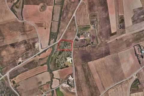 Helårsgrund i Sagres, Faro, Sagres - € 61.000 | Ref: C0240-03502 - foto 2