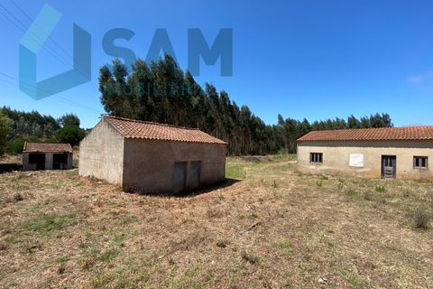 Landejendom i Torres Vedras, Lisbon, Torres Vedras - € 98.000 | Ref: SÒL_1811 - foto 8