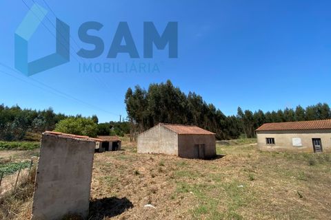 Landejendom i Torres Vedras, Lisbon, Torres Vedras - € 98.000 | Ref: SÒL_1811 - foto 3