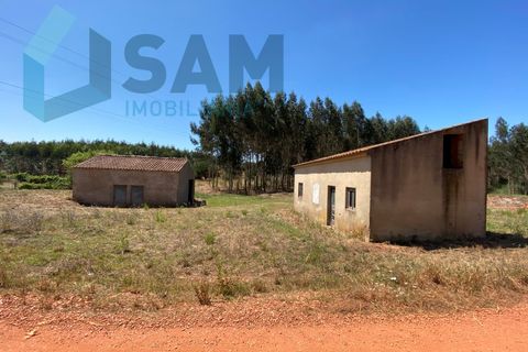 Landejendom i Torres Vedras, Lisbon, Torres Vedras - € 98.000 | Ref: SÒL_1811 - foto 2
