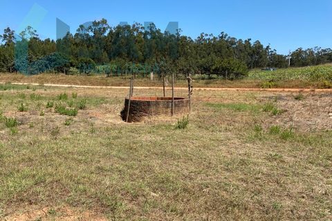 Landejendom i Torres Vedras, Lisbon, Torres Vedras - € 98.000 | Ref: SÒL_1811 - foto 4