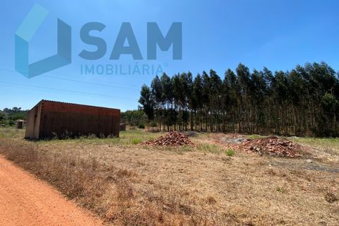 Landejendom i Torres Vedras, Lisbon, Torres Vedras - € 98.000 | Ref: SÒL_1811 - foto 5
