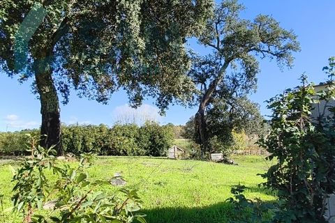 Landejendom i Juncais, Vila Ruiva e Vila Soeiro do Chão, Guarda, Juncais, Vila Ruiva e Vila Soeiro do Chão - € 299.000 | Ref: IR26/2025 - foto 4