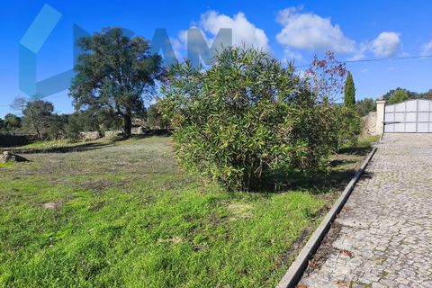 Landejendom i Juncais, Vila Ruiva e Vila Soeiro do Chão, Guarda, Juncais, Vila Ruiva e Vila Soeiro do Chão - € 299.000 | Ref: IR26/2025 - foto 3