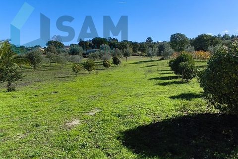 Landejendom i Juncais, Vila Ruiva e Vila Soeiro do Chão, Guarda, Juncais, Vila Ruiva e Vila Soeiro do Chão - € 299.000 | Ref: IR26/2025 - foto 35