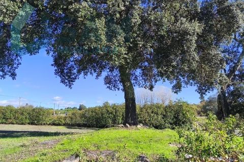 Landejendom i Juncais, Vila Ruiva e Vila Soeiro do Chão, Guarda, Juncais, Vila Ruiva e Vila Soeiro do Chão - € 299.000 | Ref: IR26/2025 - foto 36
