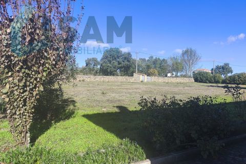 Landejendom i Juncais, Vila Ruiva e Vila Soeiro do Chão, Guarda, Juncais, Vila Ruiva e Vila Soeiro do Chão - € 299.000 | Ref: IR26/2025 - foto 37