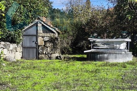 Landejendom i Juncais, Vila Ruiva e Vila Soeiro do Chão, Guarda, Juncais, Vila Ruiva e Vila Soeiro do Chão - € 299.000 | Ref: IR26/2025 - foto 34