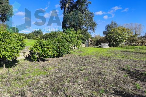 Landejendom i Juncais, Vila Ruiva e Vila Soeiro do Chão, Guarda, Juncais, Vila Ruiva e Vila Soeiro do Chão - € 299.000 | Ref: IR26/2025 - foto 39