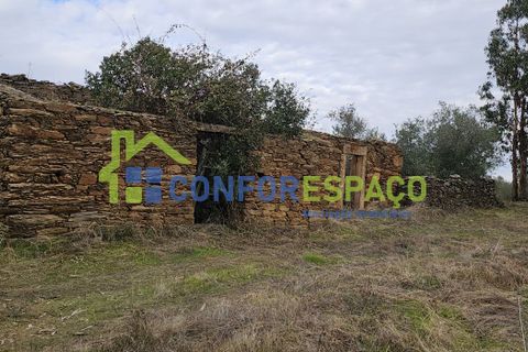 Helårsgrund i Castelo Branco, Castelo Branco, Castelo Branco - € 60.000 | Ref: 25114 - foto 2