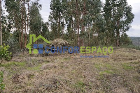 Helårsgrund i Castelo Branco, Castelo Branco, Castelo Branco - € 60.000 | Ref: 25114 - foto 3