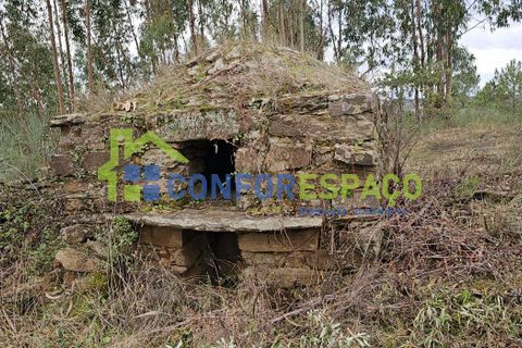 Helårsgrund i Castelo Branco, Castelo Branco, Castelo Branco - € 60.000 | Ref: 25114 - foto 5