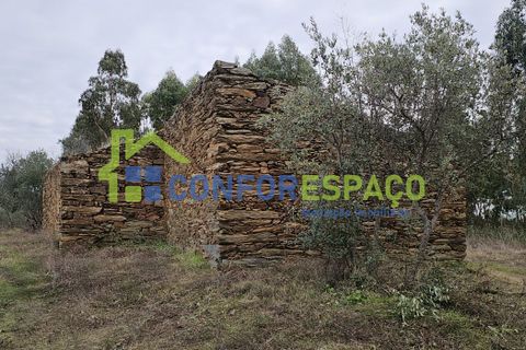 Helårsgrund i Castelo Branco, Castelo Branco, Castelo Branco - € 60.000 | Ref: 25114 - foto 7