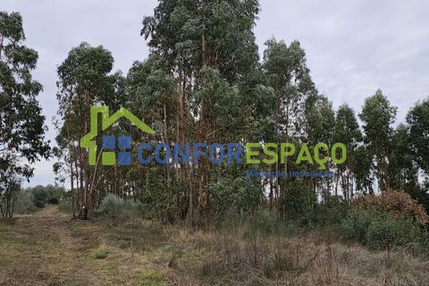 Helårsgrund i Castelo Branco, Castelo Branco, Castelo Branco - € 60.000 | Ref: 25114 - foto 9