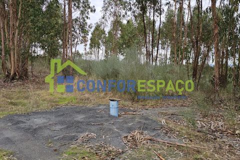 Helårsgrund i Castelo Branco, Castelo Branco, Castelo Branco - € 60.000 | Ref: 25114 - foto 11