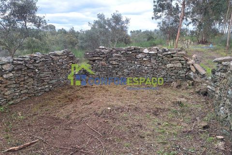 Helårsgrund i Castelo Branco, Castelo Branco, Castelo Branco - € 60.000 | Ref: 25114 - foto 19