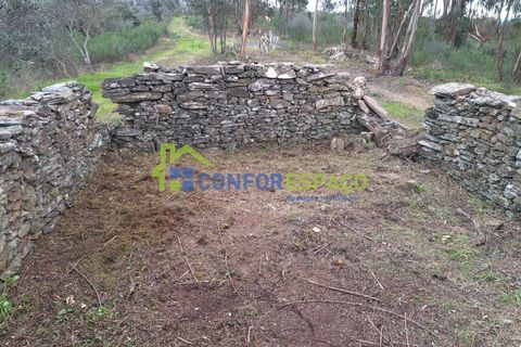 Helårsgrund i Castelo Branco, Castelo Branco, Castelo Branco - € 60.000 | Ref: 25114 - foto 20