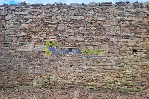 Helårsgrund i Castelo Branco, Castelo Branco, Castelo Branco - € 60.000 | Ref: 25114 - foto 29