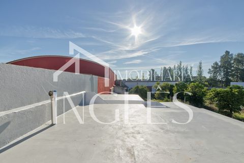 Villa i Benfica do Ribatejo, Santarem, Benfica do Ribatejo - € 250.000 | Ref: 1876 - foto 35