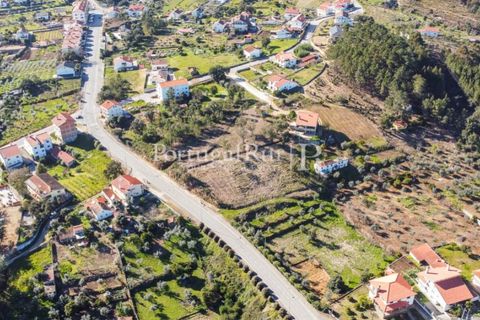 Helårsgrund i Proenca-a-Nova, Castelo Branco, Proenca-a-Nova - € 32.000 | Ref: SA814 - foto 2