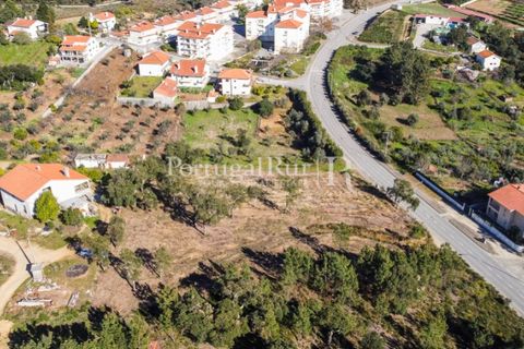Helårsgrund i Proenca-a-Nova, Castelo Branco, Proenca-a-Nova - € 32.000 | Ref: SA814 - foto 4