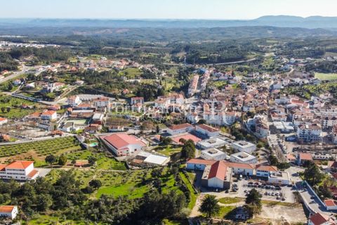 Helårsgrund i Proenca-a-Nova, Castelo Branco, Proenca-a-Nova - € 32.000 | Ref: SA814 - foto 7