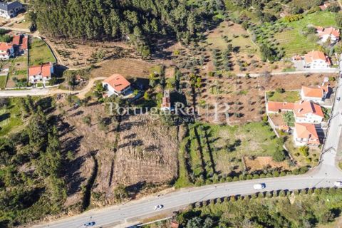 Helårsgrund i Proenca-a-Nova, Castelo Branco, Proenca-a-Nova - € 32.000 | Ref: SA814 - foto 9