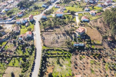 Helårsgrund i Proenca-a-Nova, Castelo Branco, Proenca-a-Nova - € 32.000 | Ref: SA814 - foto 13