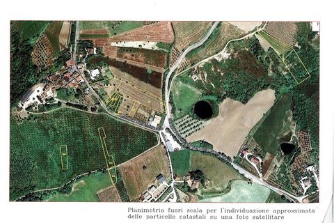 Terra a Teramo, Teramo, Teramo - € 40.000 | Ref: 433 - foto 2