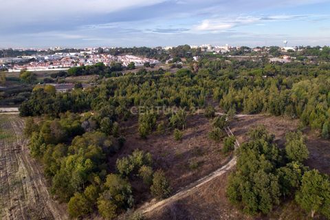 Villa a Palhais, Setubal, Palhais - € 450.000 | Ref: C0364-05307 - foto 24