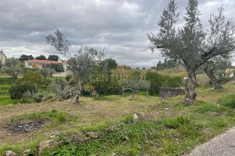 Helårsgrund i Abrantes, Santarem, Abrantes - € 35.000 | Ref: C0364-05309 - foto 1