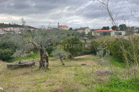 Helårsgrund i Abrantes, Santarem, Abrantes - € 35.000 | Ref: C0364-05309 - foto 2