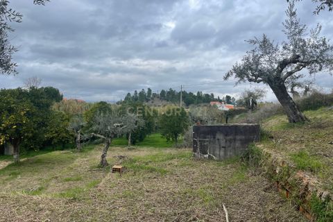 Helårsgrund i Abrantes, Santarem, Abrantes - € 35.000 | Ref: C0364-05309 - foto 4