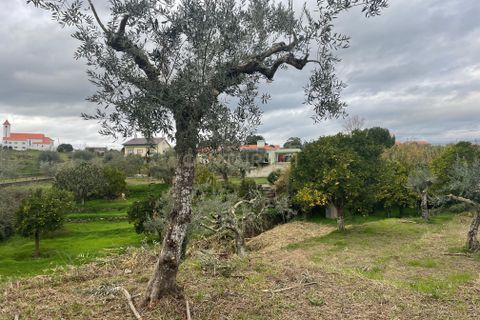 Helårsgrund i Abrantes, Santarem, Abrantes - € 35.000 | Ref: C0364-05309 - foto 5
