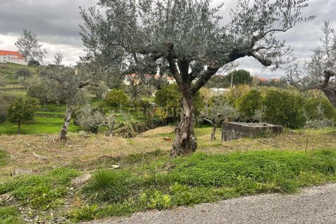 Helårsgrund i Abrantes, Santarem, Abrantes - € 35.000 | Ref: C0364-05309 - foto 6