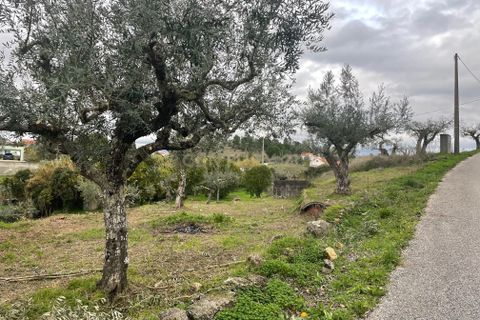 Helårsgrund i Abrantes, Santarem, Abrantes - € 35.000 | Ref: C0364-05309 - foto 7