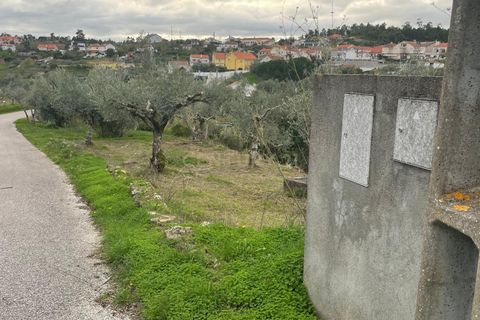 Helårsgrund i Abrantes, Santarem, Abrantes - € 35.000 | Ref: C0364-05309 - foto 8