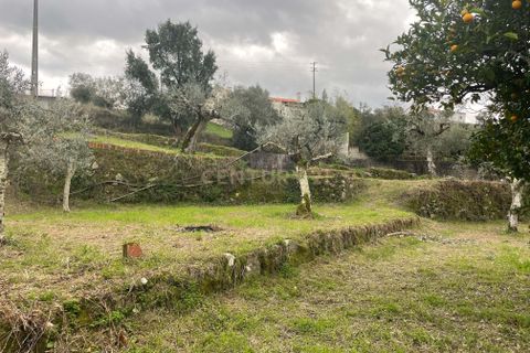 Helårsgrund i Abrantes, Santarem, Abrantes - € 35.000 | Ref: C0364-05309 - foto 10