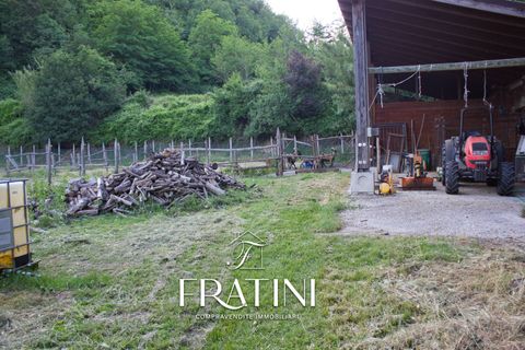 Villa i Roccafluvione, Ascoli Piceno, Roccafluvione - € 550.000 | Ref: MA0152 - foto 46