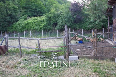 Villa i Roccafluvione, Ascoli Piceno, Roccafluvione - € 550.000 | Ref: MA0152 - foto 49
