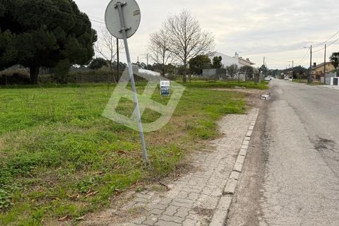 Helårsgrund i Ilhavo, Aveiro, Ilhavo - € 150.000 | Ref: 4355 - foto 2
