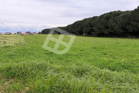 Helårsgrund i Ilhavo, Aveiro, Ilhavo - € 150.000 | Ref: 4355 - foto 4