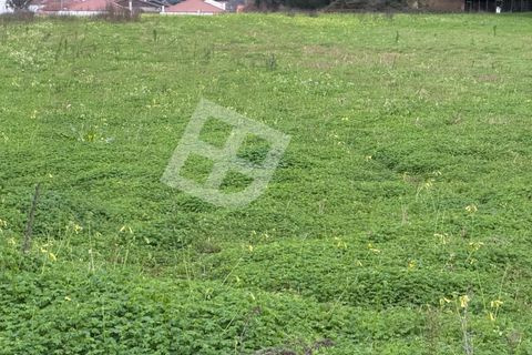 Helårsgrund i Ilhavo, Aveiro, Ilhavo - € 150.000 | Ref: 4355 - foto 5