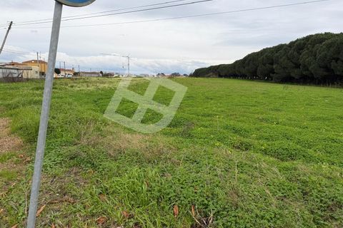 Helårsgrund i Ilhavo, Aveiro, Ilhavo - € 150.000 | Ref: 4355 - foto 6
