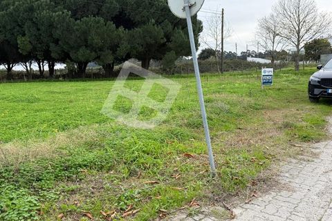 Helårsgrund i Ilhavo, Aveiro, Ilhavo - € 150.000 | Ref: 4355 - foto 7