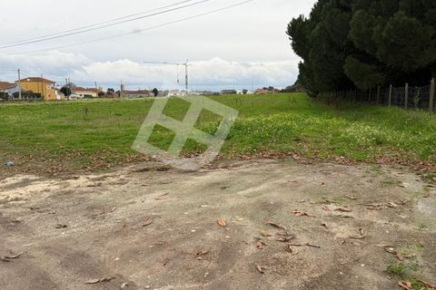 Helårsgrund i Ilhavo, Aveiro, Ilhavo - € 150.000 | Ref: 4355 - foto 8